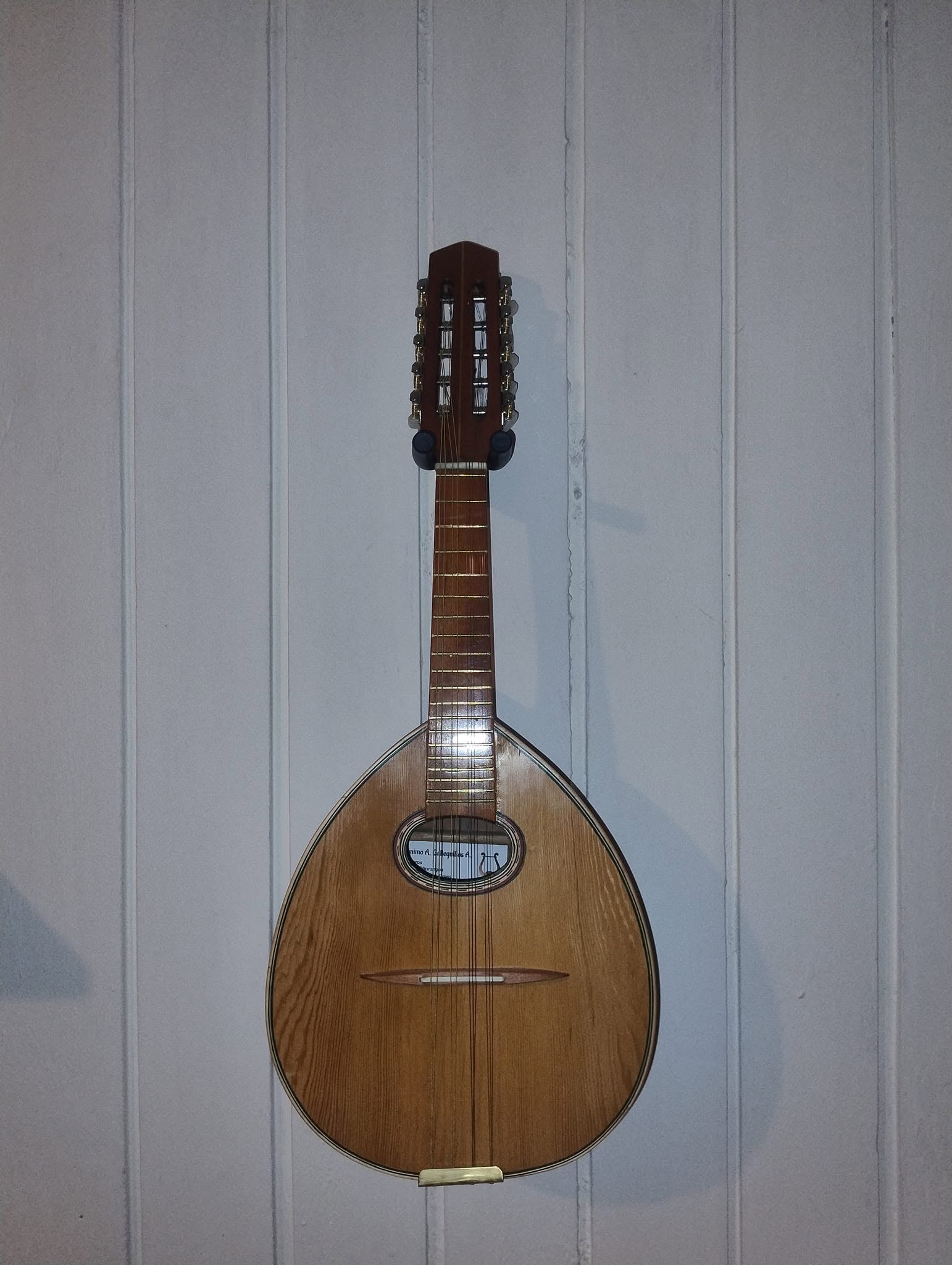 Mandolina B2
