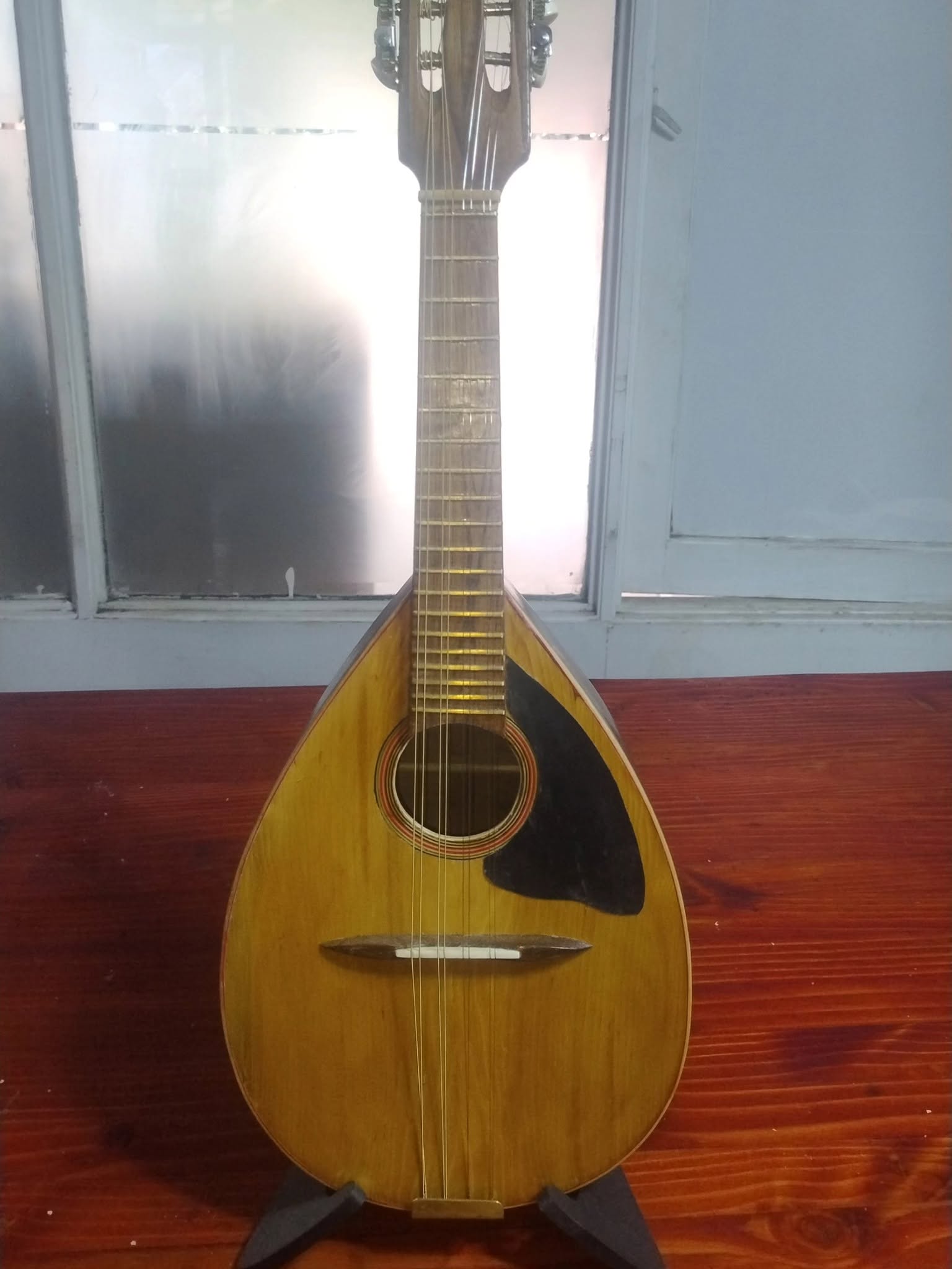 Mandolina para Aprender detalle 3